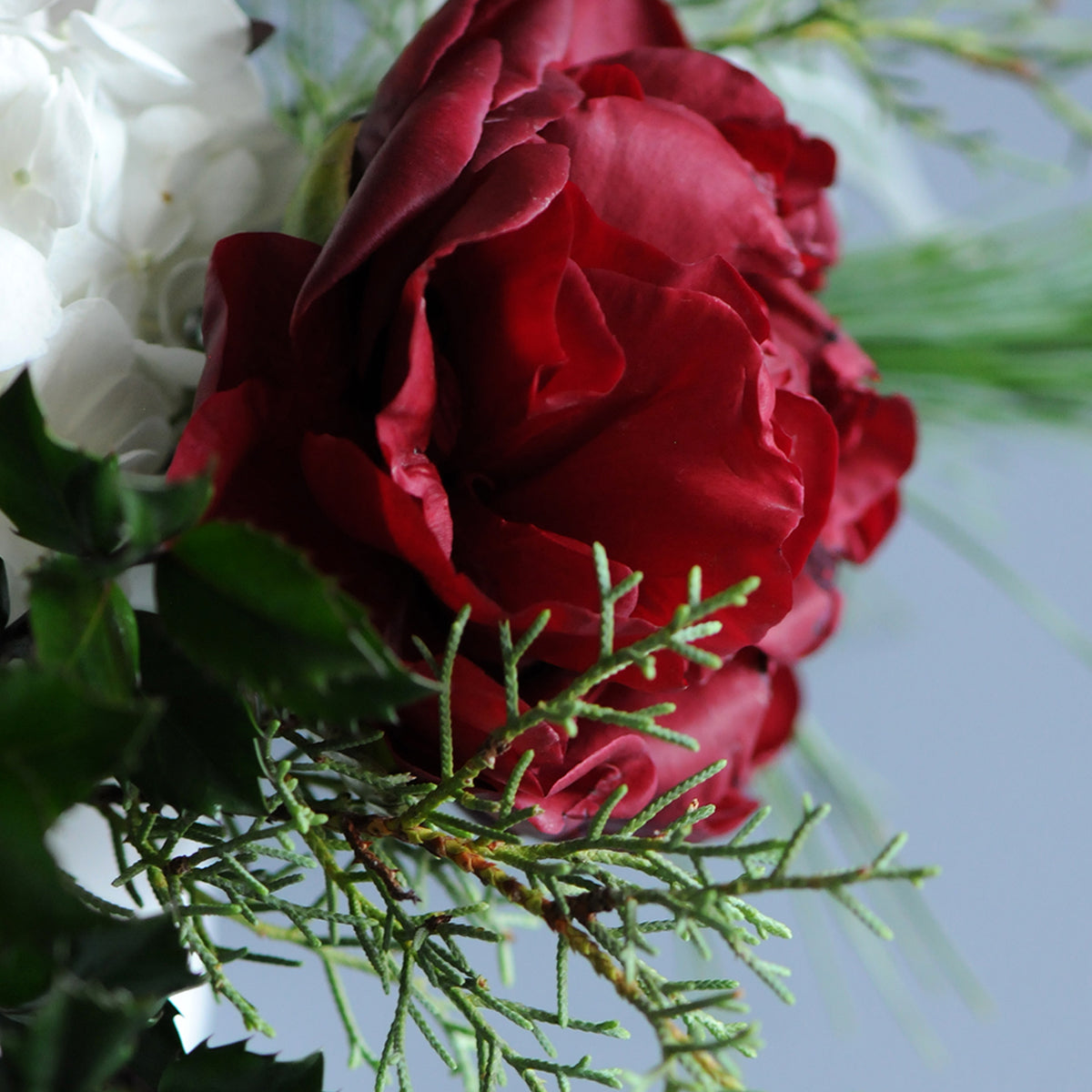 Close-up of a bouquet with red and white flowers on a light background