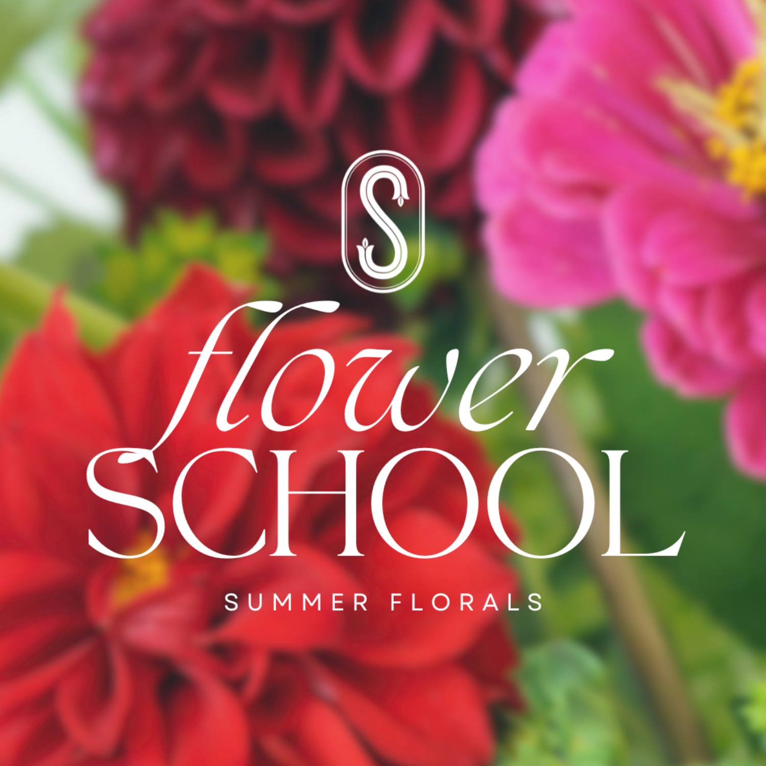Promotional graphic for 'flower SCHOOL SUMMER FLORALS' featuring a white stylized 'S' logo and elegant typography over a blurred background of vibrant red and pink dahlias with green foliage.