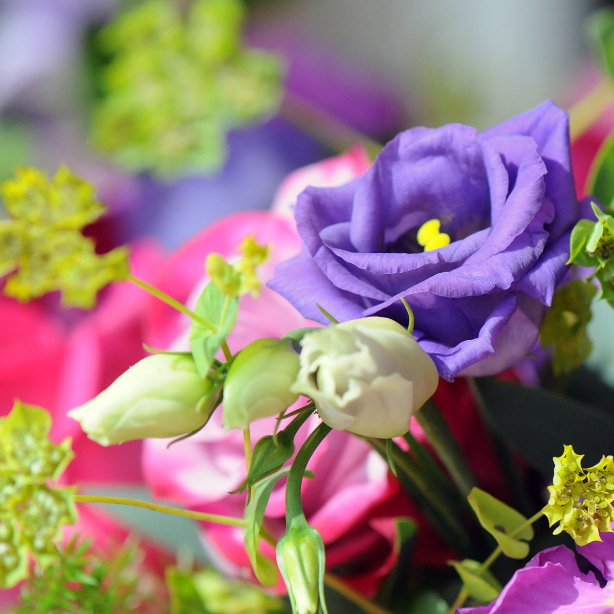LIsianthus bloom in detail