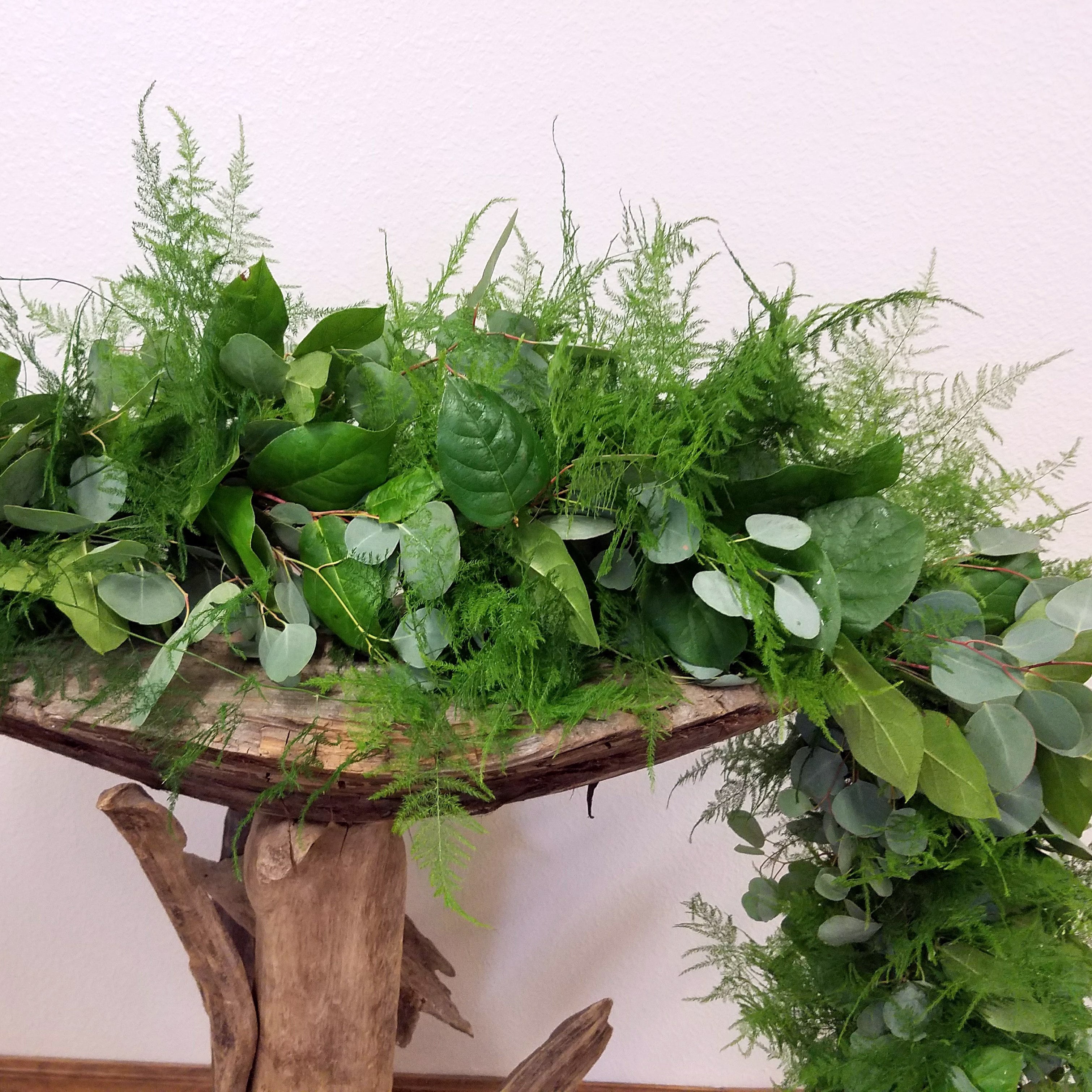 Green leafy plants on a wooden stand against a white background