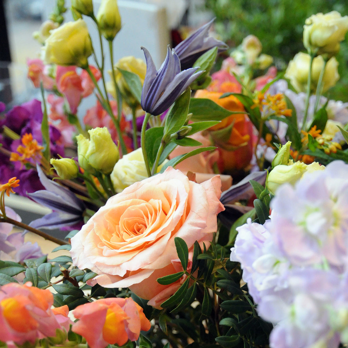 An Abundant mix of Roses Clematis and seasonal garden blooms 