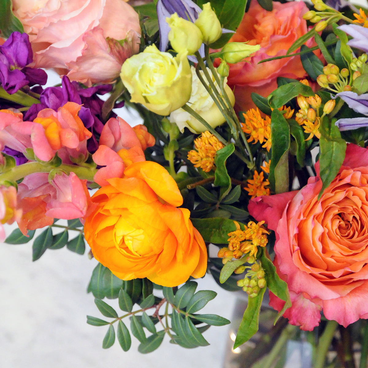 Close up of orange Ranunculus a Spruce favorite