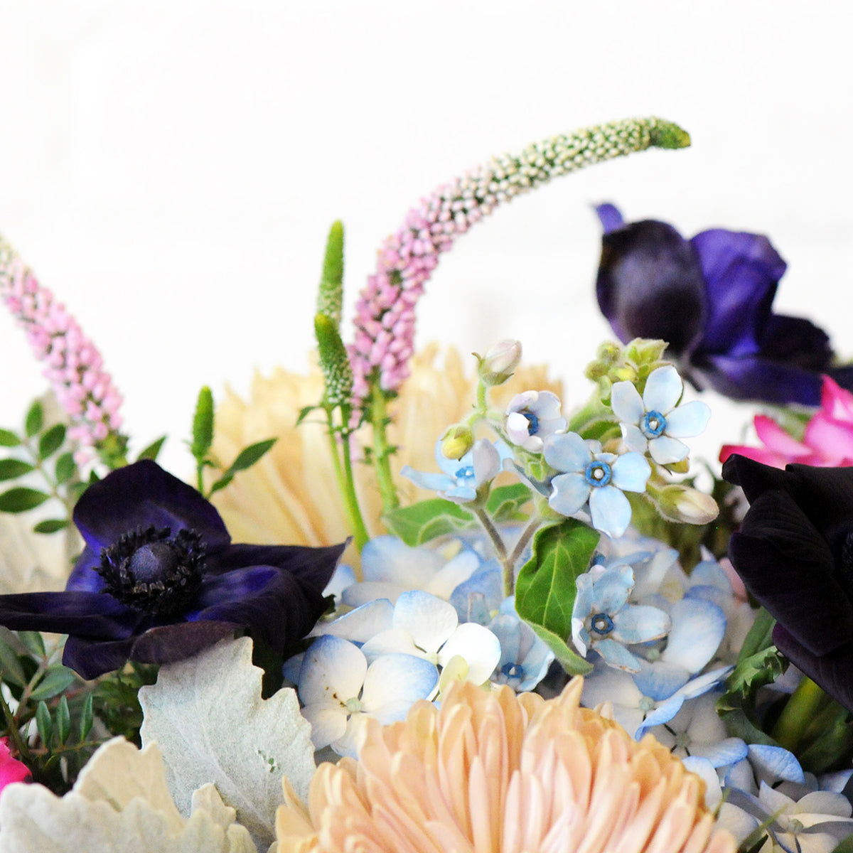 Close up of Tweedia and Veronica flowers that feature in our Emerson arrangement