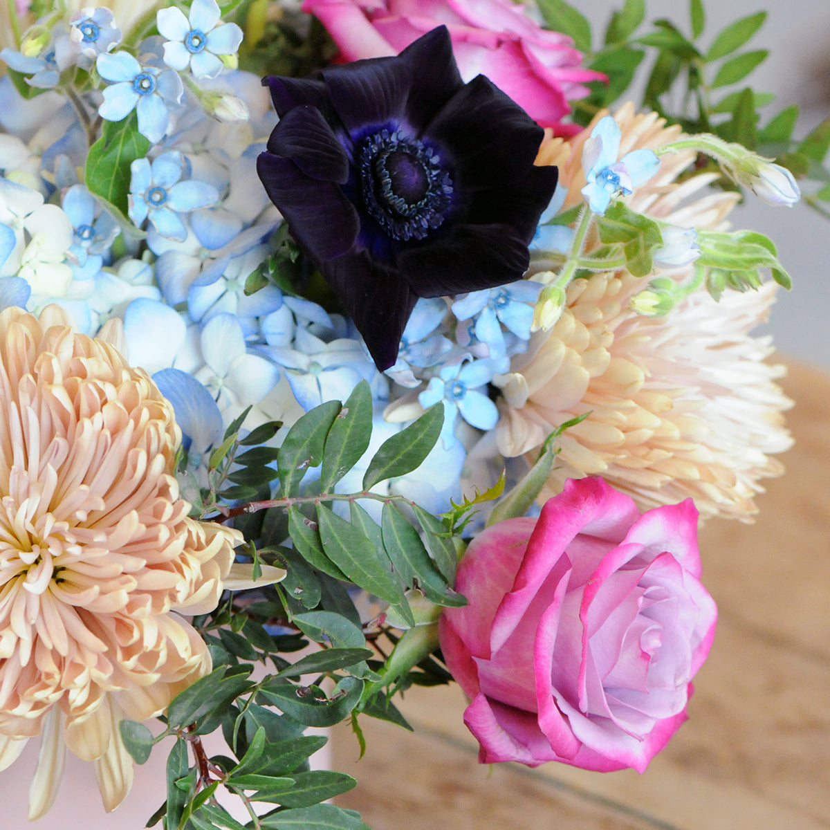 Zoomed in image of Emerson flower arrangement, soft blue Tweedia Rich Anemones and Deep purple roses