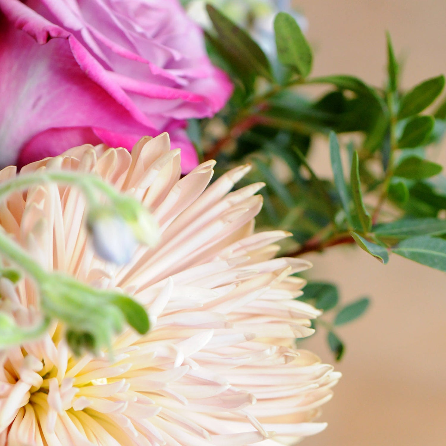 Close up of florals in Emerson arrangement