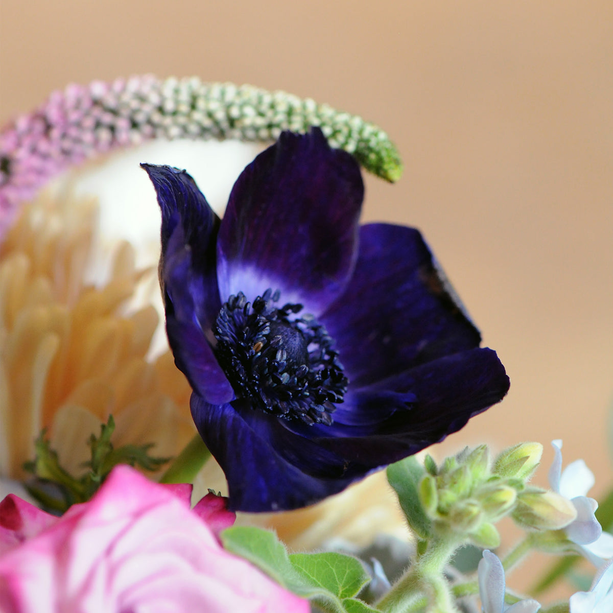 Blue Anemone feature in our Emerson arrangement when available