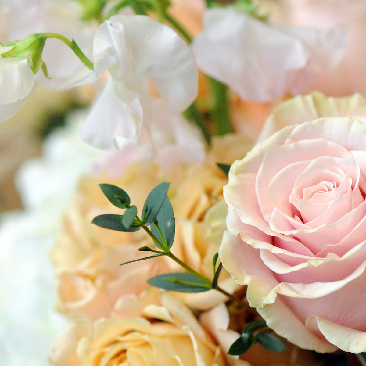 Close up of Sahara Spray roses and Pink Mondial roses featured in the the Spruc e Flowers France Ave Floral arrangement