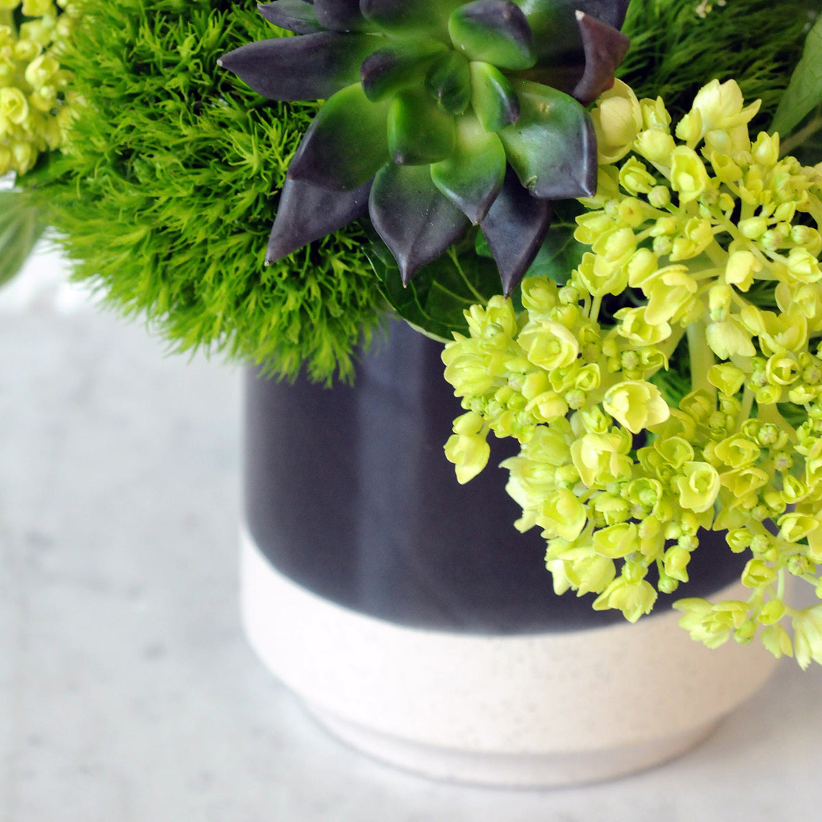 Detail close up of Loring Floral arrangement showing Mini green Hydrangea Green Trick Dianthus and Sedum  