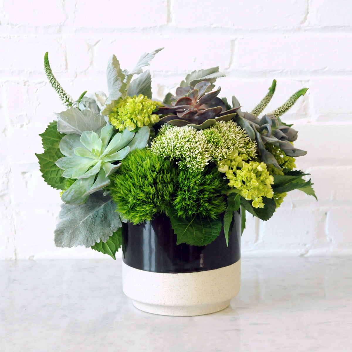 Spruce Flowers Loring arrangement shown in a two tone ceramic vase arranged with mini green hydrangea, Trick dianthus and a fresh sedum head .