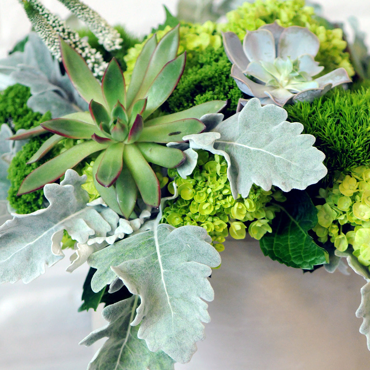 Close-up of a succulent and green leafy floral arrangement on a white background