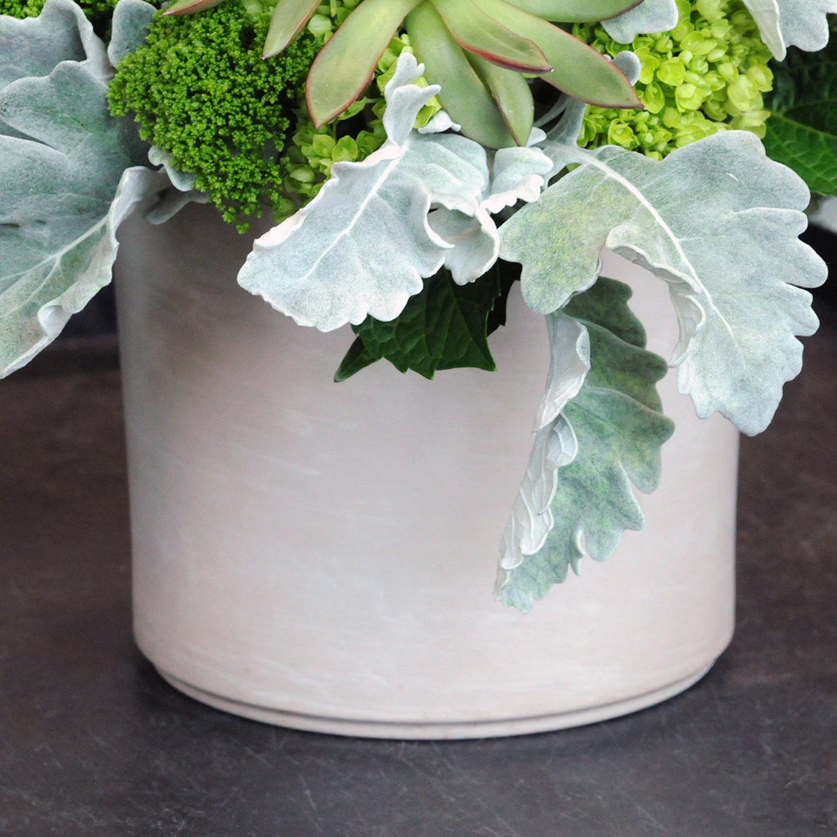 Floral arrangement with green succulents and silver  foliage on a dark surface focused on the cream ceramic vase
