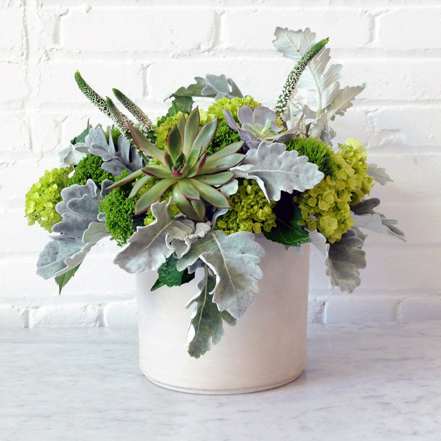 Loring Arrangement featuring mini green hydrangea, dusty miller, green dianthus, and trachelium