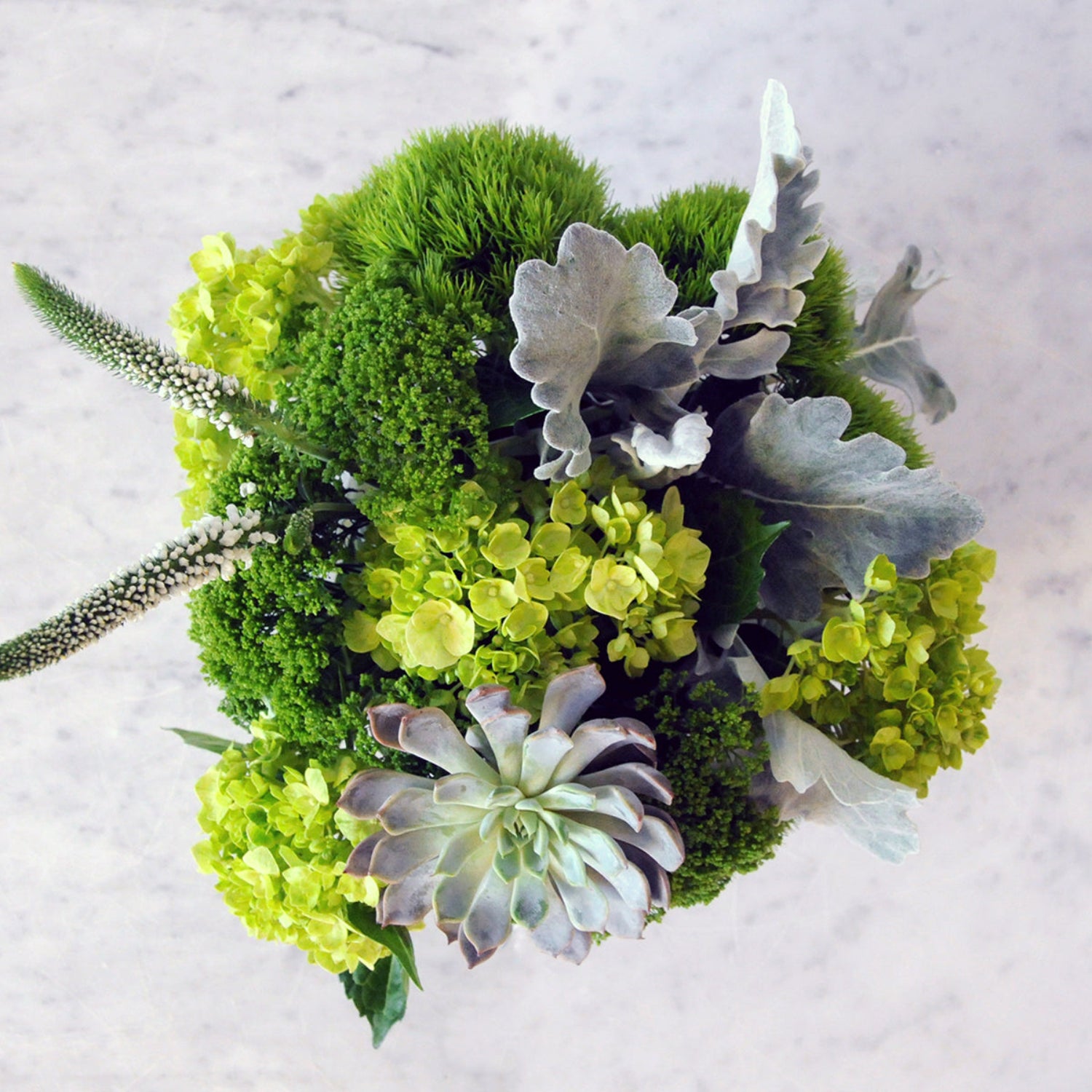 Top down view showing the mounded shape of the arrangment