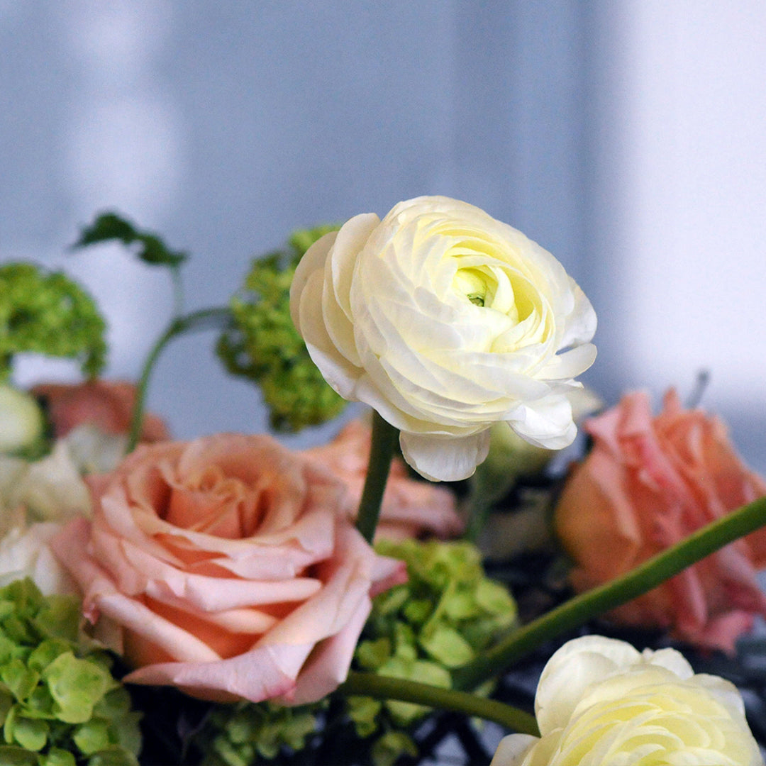 A floral arrangement featuring peach roses, white spray roses, and green viburnum in an Elsa kettle vase with gold detailing on the base, placed against a white brick background.