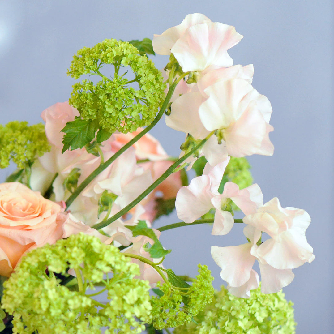 Close up of Sweet peas and Viburnum flowers