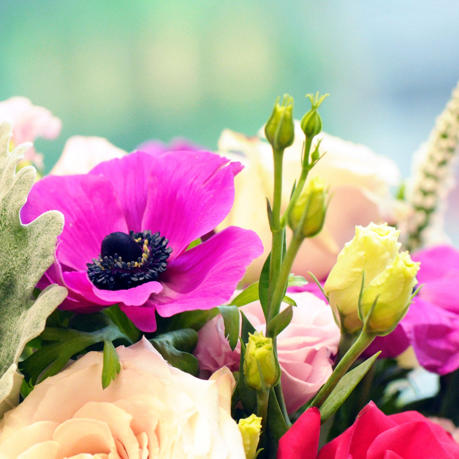 Close up view of anemone and lisianthus in the edgerton arrangement