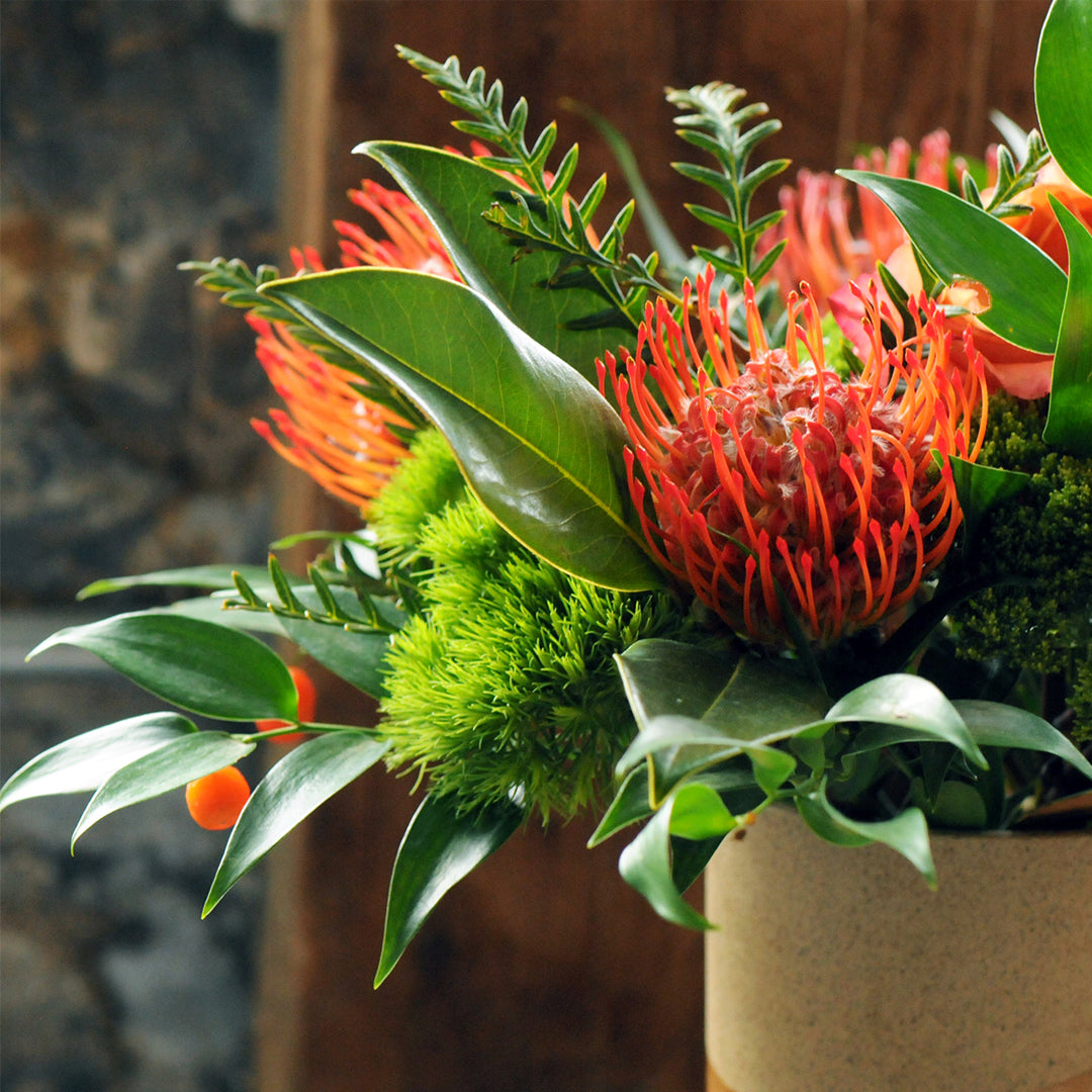 Green Ruscus Foliage with Grevillia foliage form the base for the Protea flowers to nestle in the Parkway Floral Arrangement