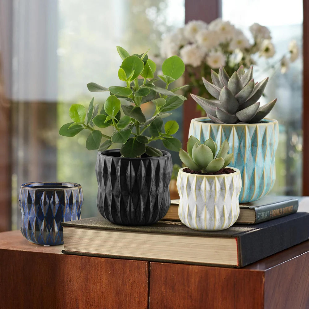 Three textured ceramic planters in black, white, and light blue, each holding a small succulent, arranged on stacked books on a wooden table with a softly blurred indoor background.