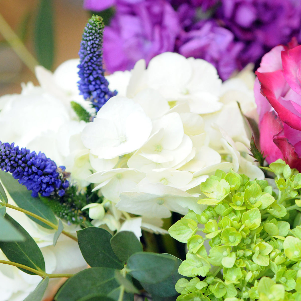 Close up image  of Spruce Flowers York Floral arrangement detailing the white Hydrangea , mini greens and veronica 