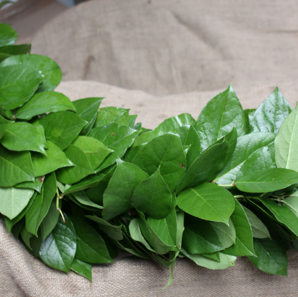 Green leafy garland on a beige fabric background