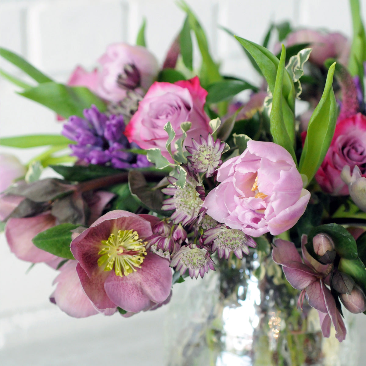 A celebration of Spring Flowers in Purple close up shows helebore Tulips and Roses with accents of Astrantia