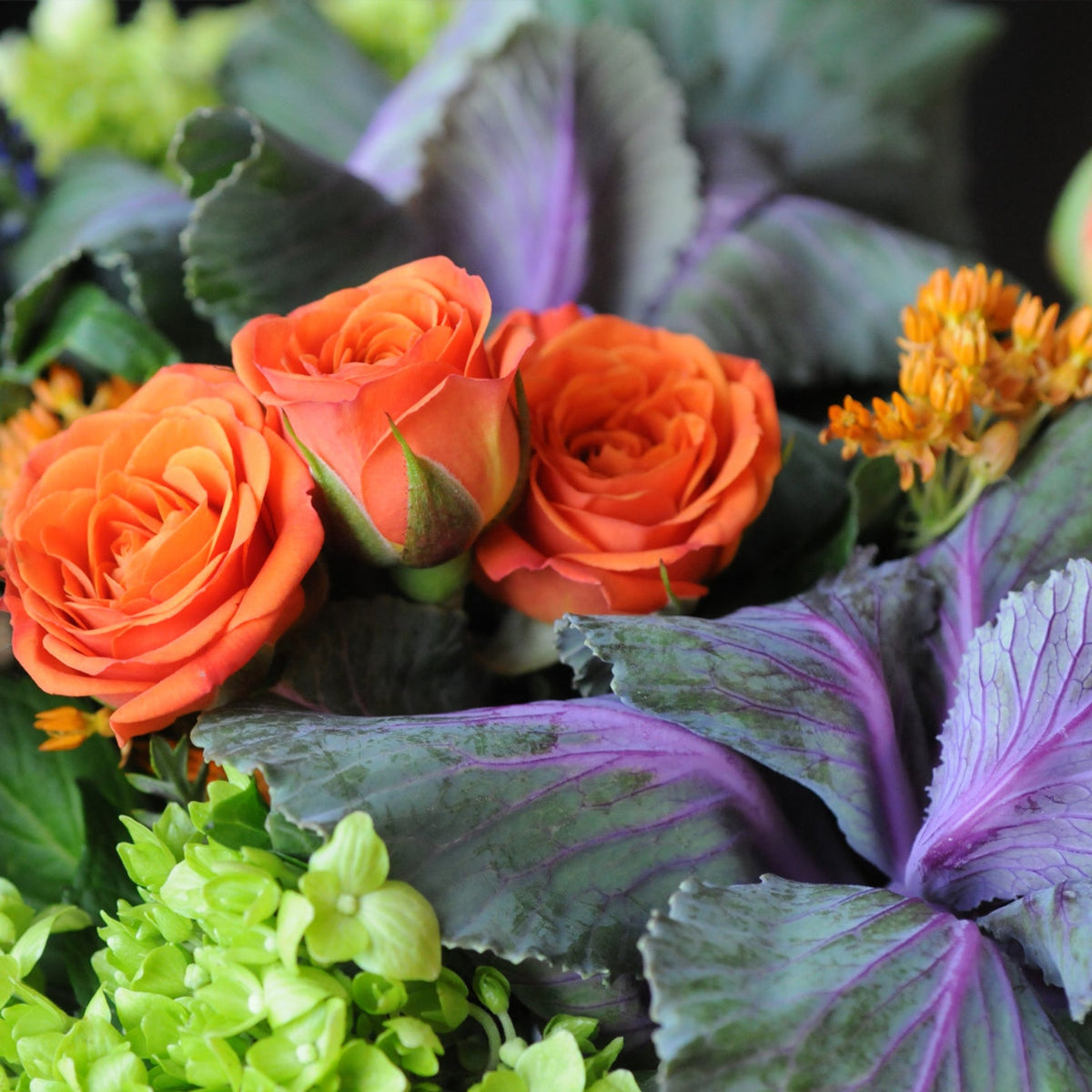 Orange spray roses nestle in a compact mound of Kale, mini green Hydrangea and Trick Dianthus arranged by Spruce flowers designers for delivery in the Twin Cities Metro of Minneapolis and St Paul
