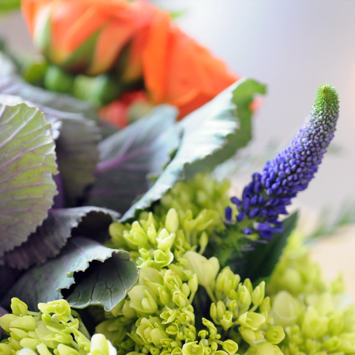 Accent of purple veronica in the Bryant Flower arrangement from Spruce Flowers