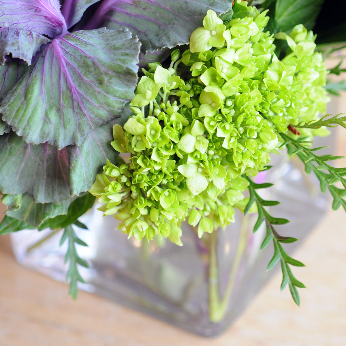 Close up of Mini Green Hydrangea whose flowers continue to grow as the arrangement matures. Making our Bryant arrangement a great long lasting floral available for delivery in the Twin Cities Metro