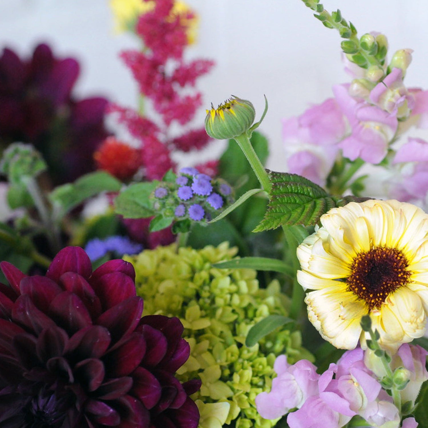 Nothing says summer quite like a Dahlia shown here in rich dark purple among other seasonal favorites