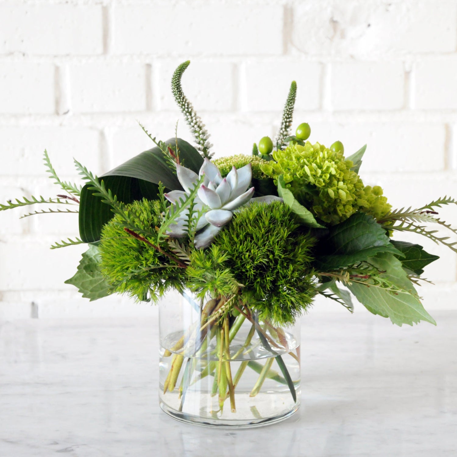 Front view of monochromatic green arrangement featuring dianthus, grevillea, and one succulent. Image is an example of the styling rather than the exact arrangement that will be sent