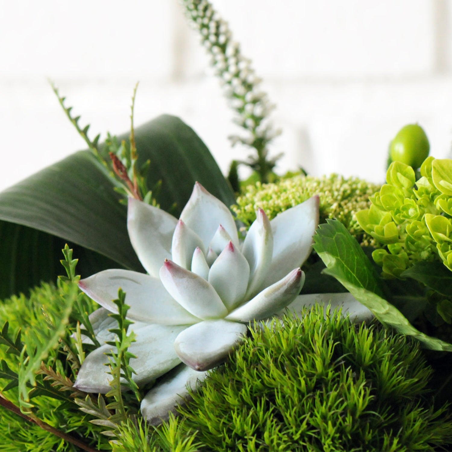 Close of detail of succulent surrounded by foliage. Image is an example of the styling rather than the exact arrangement that will be sent