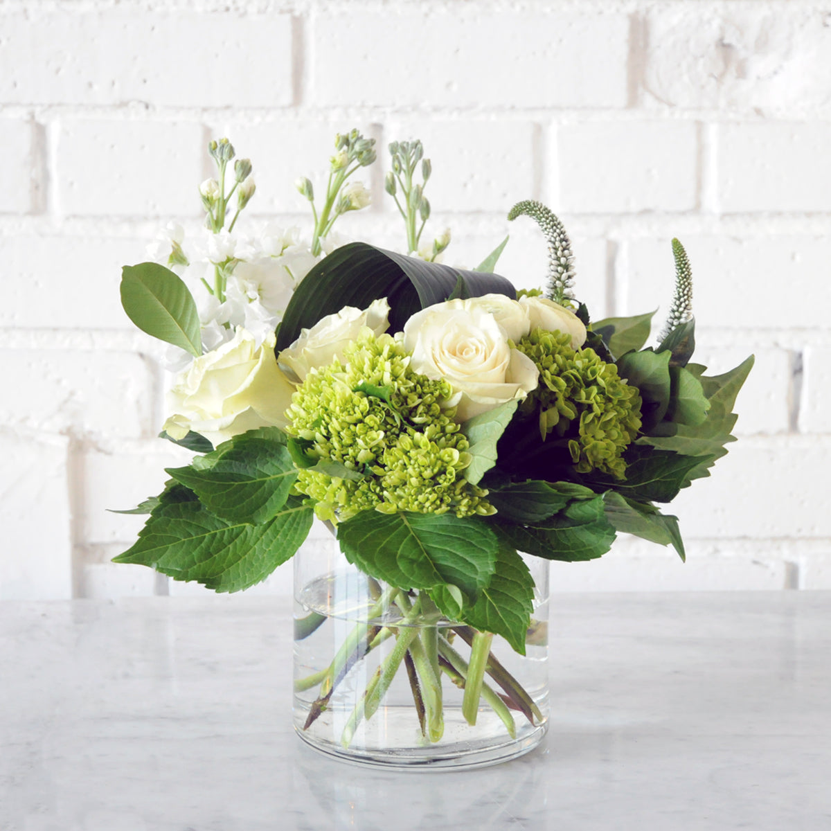 Creative Director: Modern