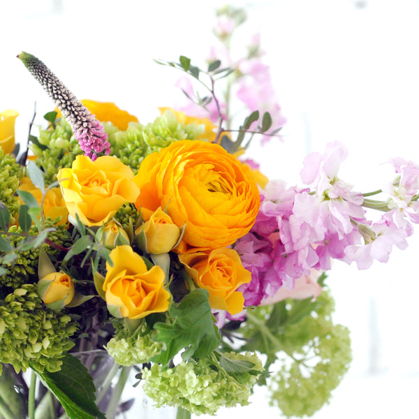 Colfax Spruce Flowers and Events