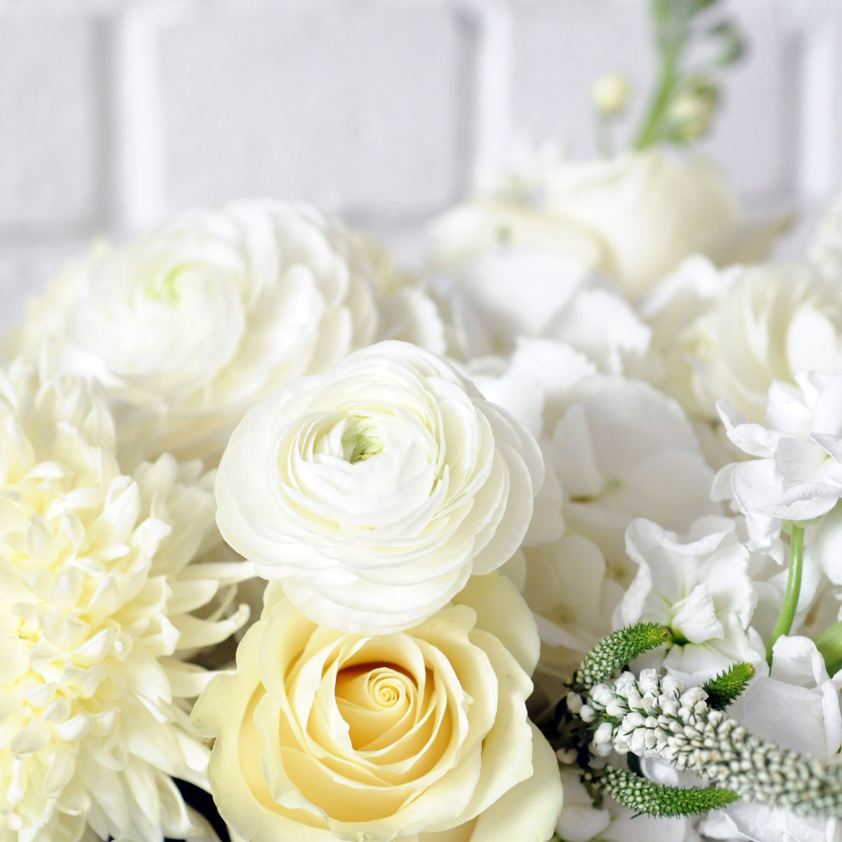 Image showing the varied selection of white blooms in Spruce Flowers Classic Como arrangement