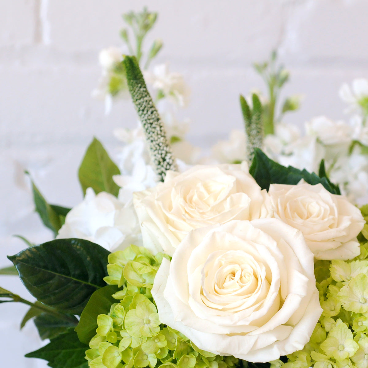 Detail view of white Playa Blanca roses featured in Spruce Flowers Duke arrangement