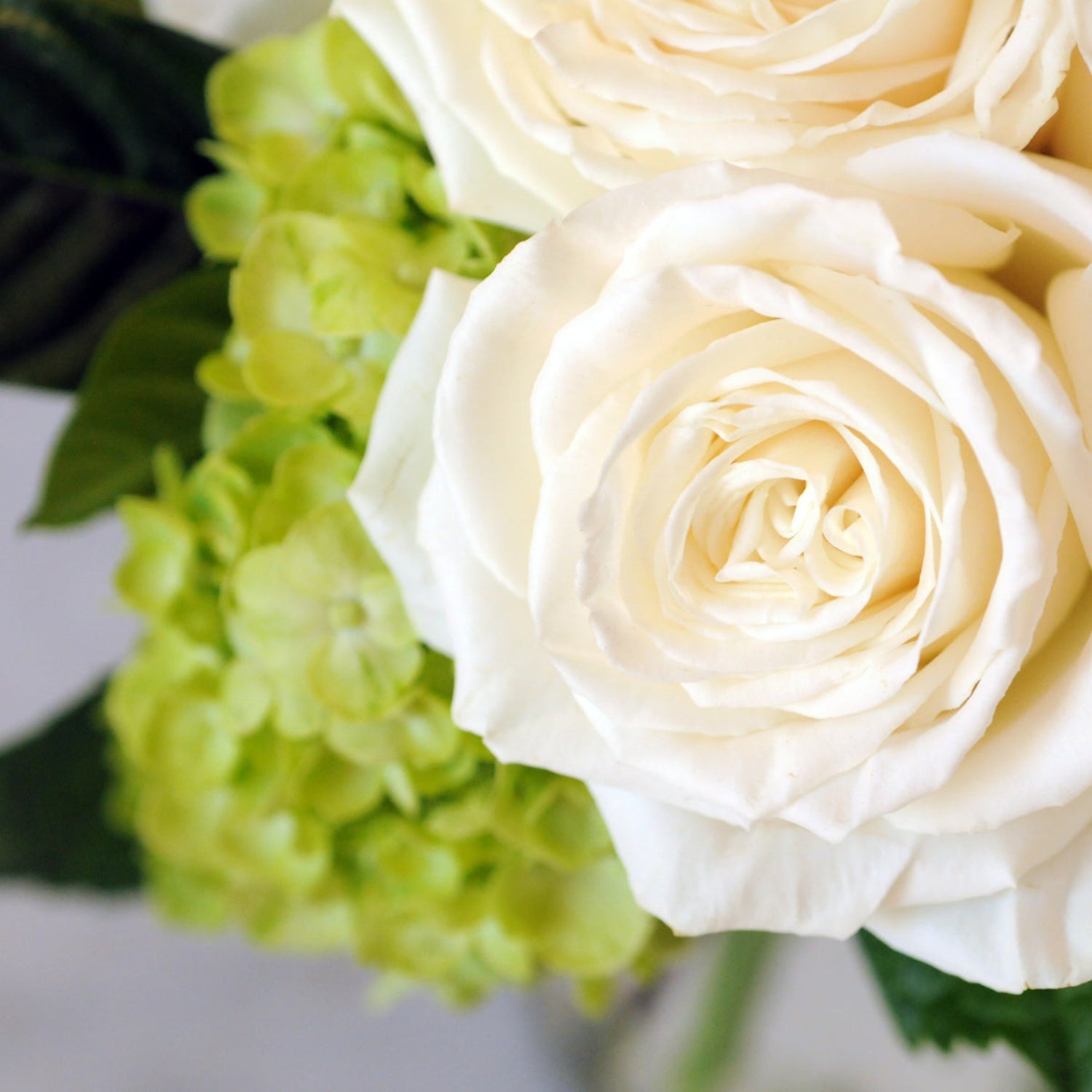 Close up of White Rose featured in Spruce Flowers Duke arrangement
