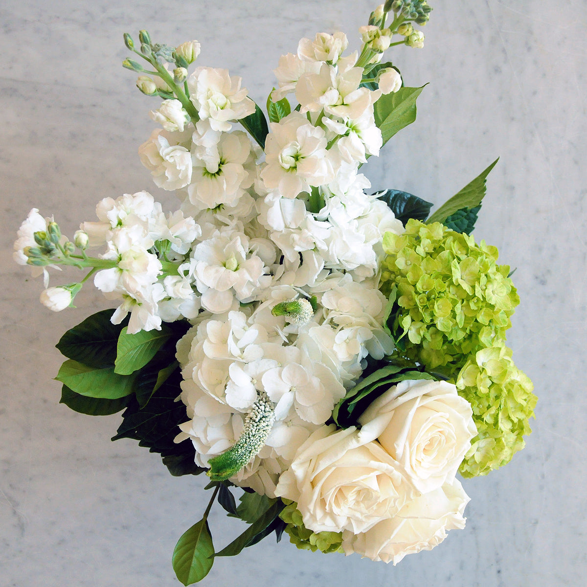 Top down view of a Duke floral arrangement from Spruce Flowers showing grouped Roses, Stock and Hydrangea.