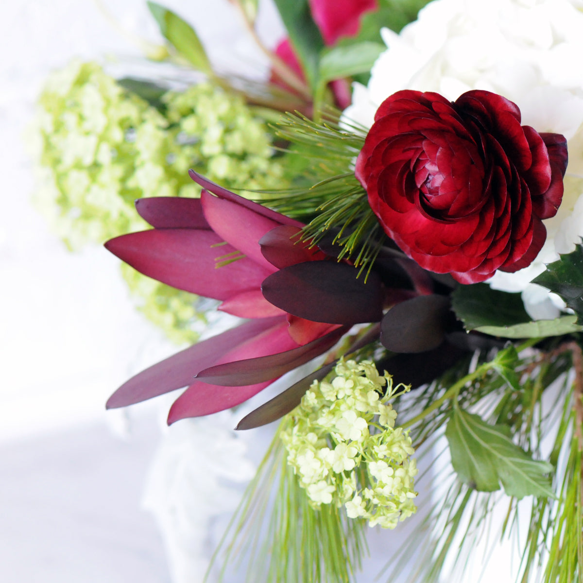 Close up of Leucadendron and Ranunculus in Spruce Flowers Hawthorne floral arrangement