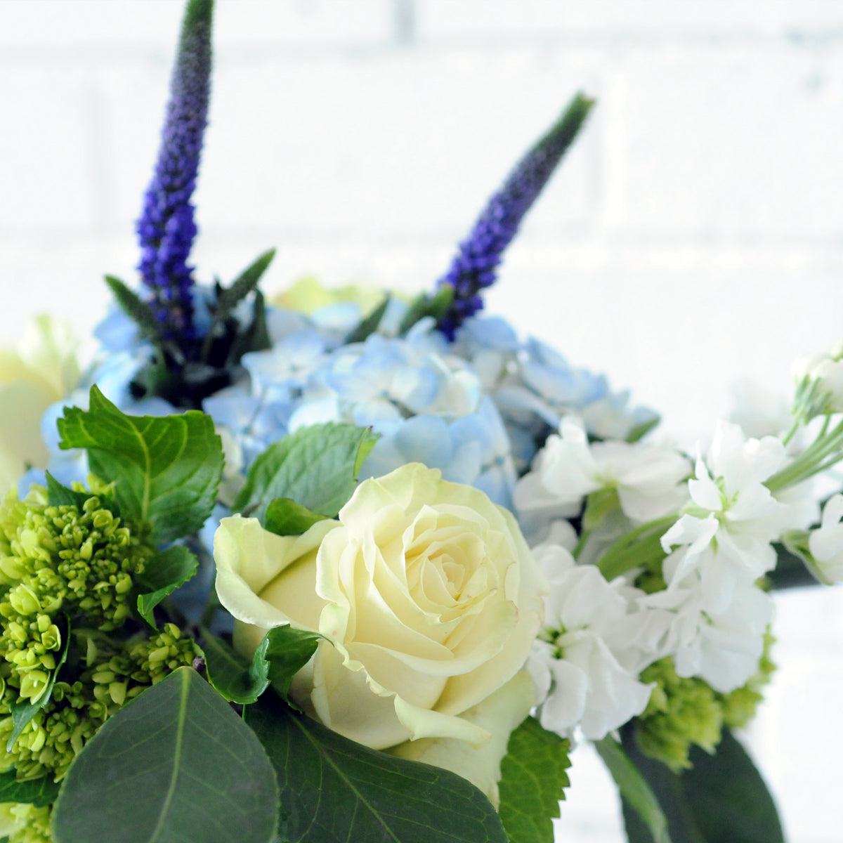 Close up view of White rose and Blue hydrangea in S[pruce Flowers James fresh flower arrangement