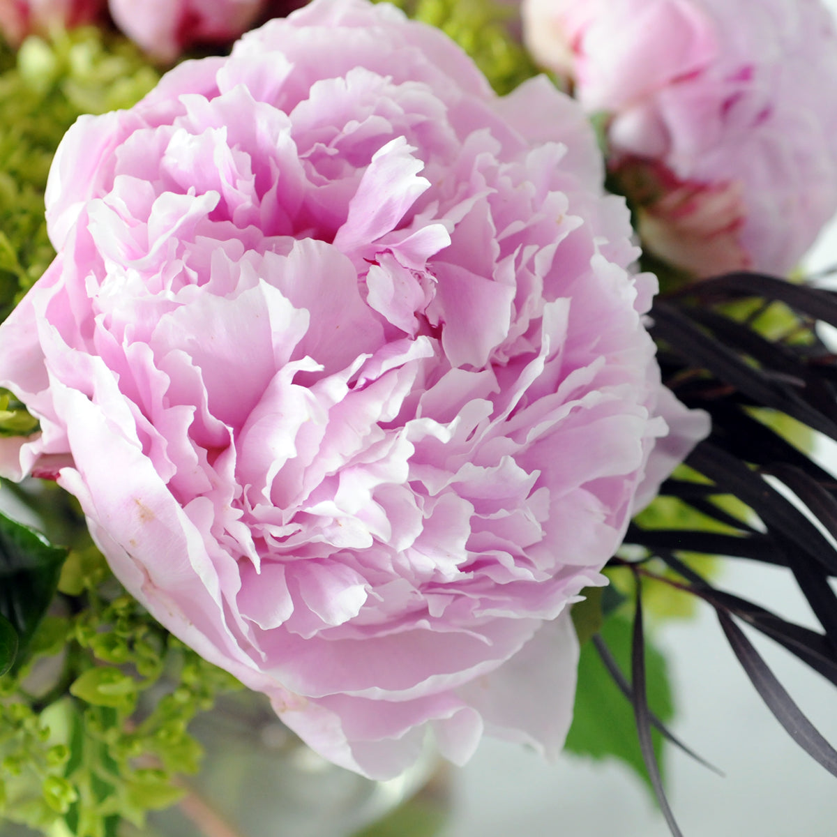 Close up of Spruce Flowers Portland Flower arrangement featuring Peony blooms for delivery in Minneapolis and St Paul