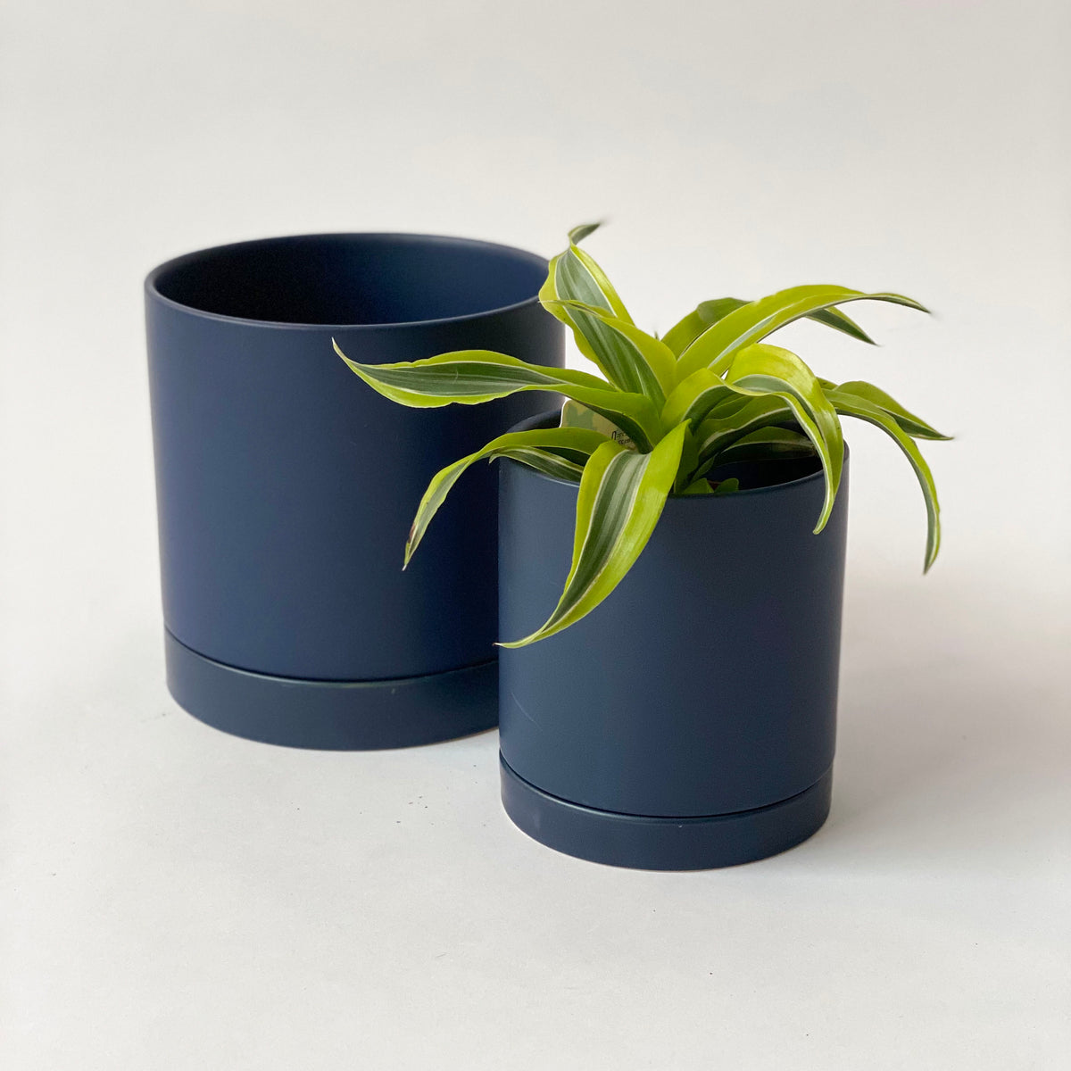 ceramic indoor planter pots Ceramic Potting Pots & Planters