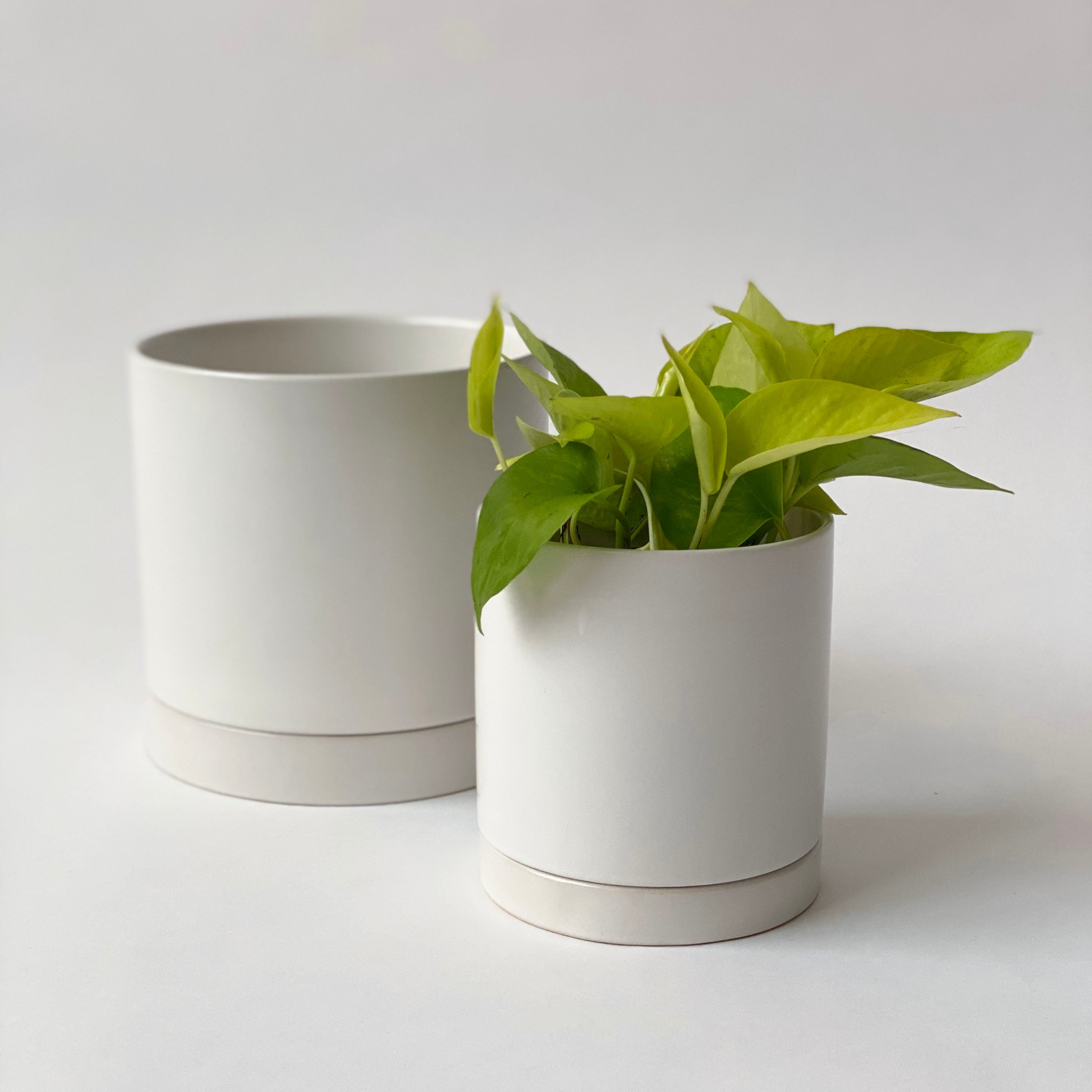 Romey Pot