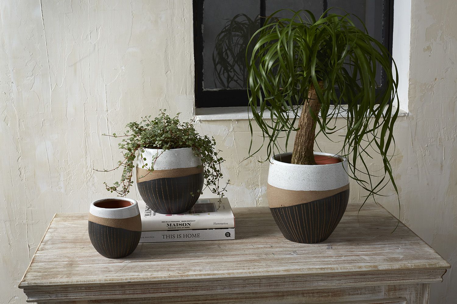 Oco Pot