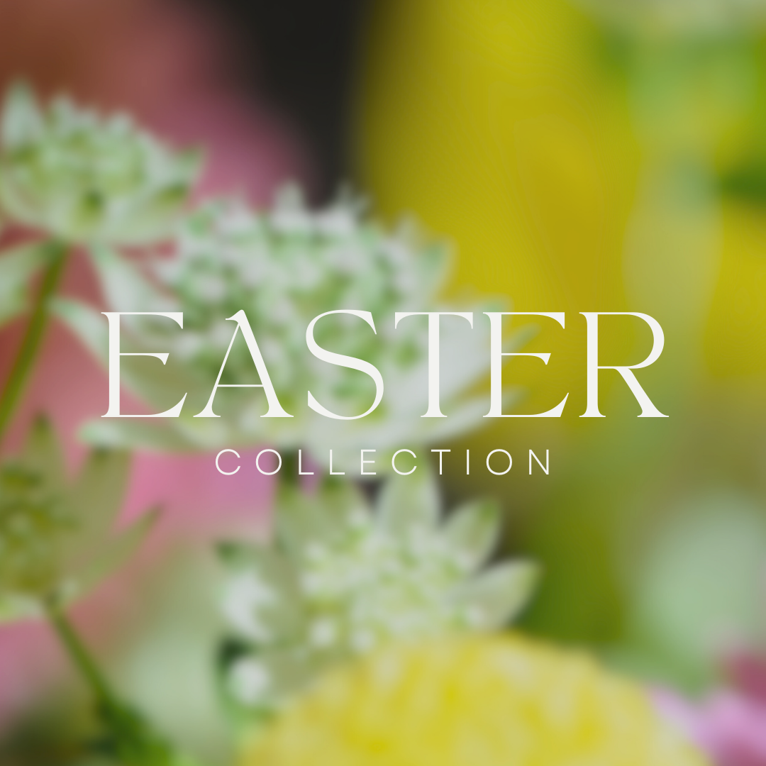 Easter Collection Banner 