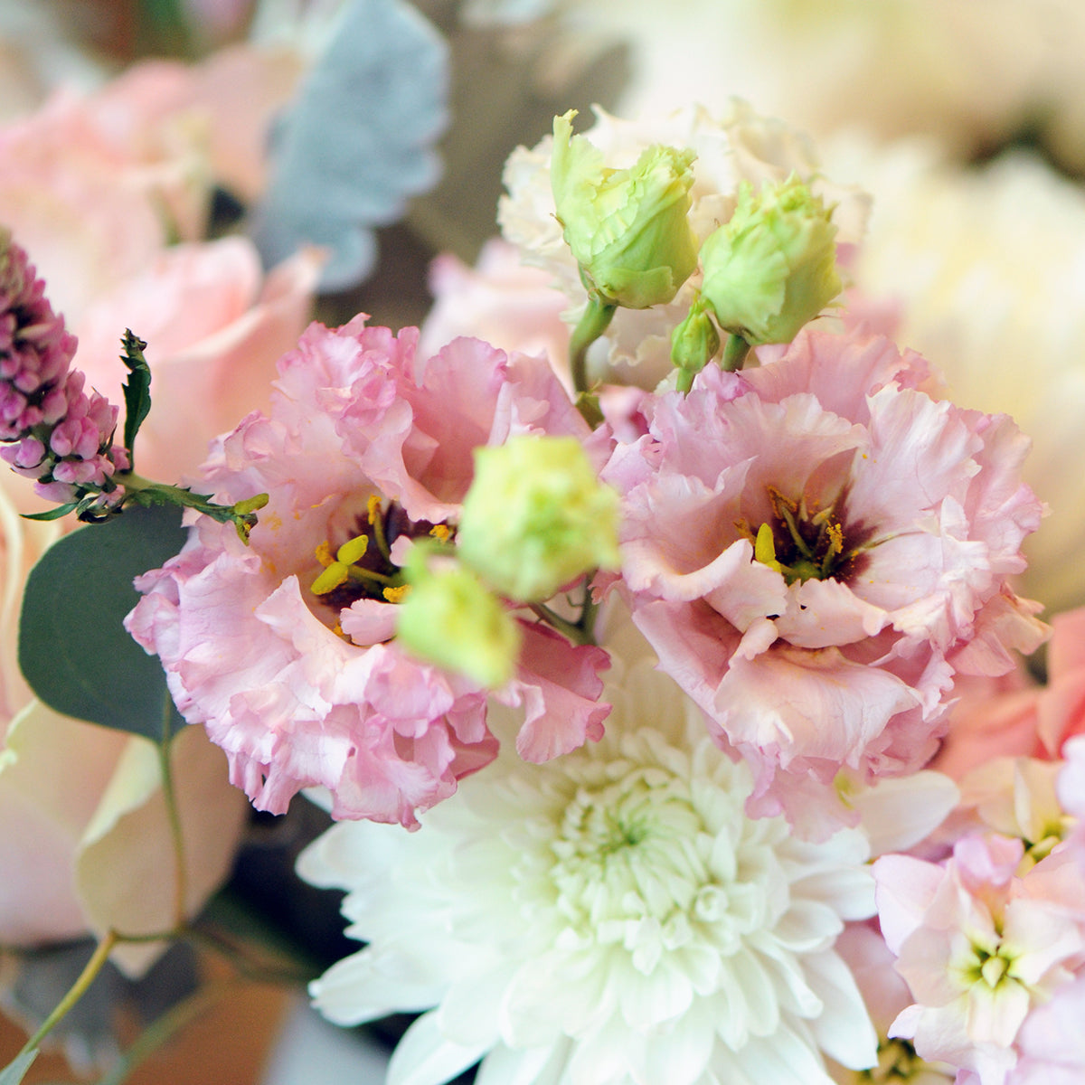Close-up of a bouquet with pink and white flowers