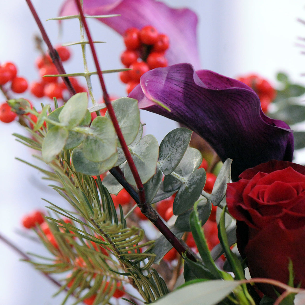 Close up of Red Roses, Purple Cala Lillies and Red berries and Foliage