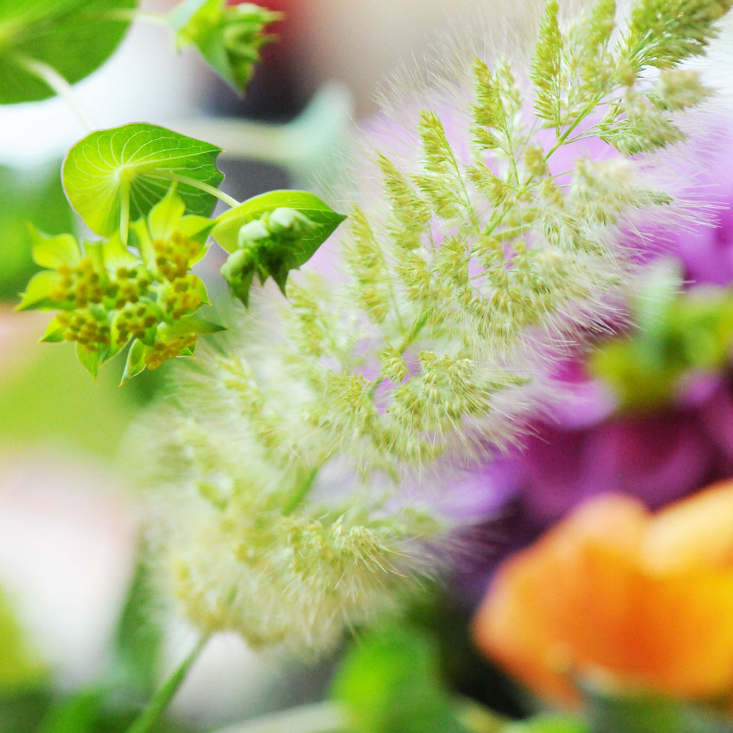 Detail shot of a grass seed head which can be found in our Buchanan arrangement 