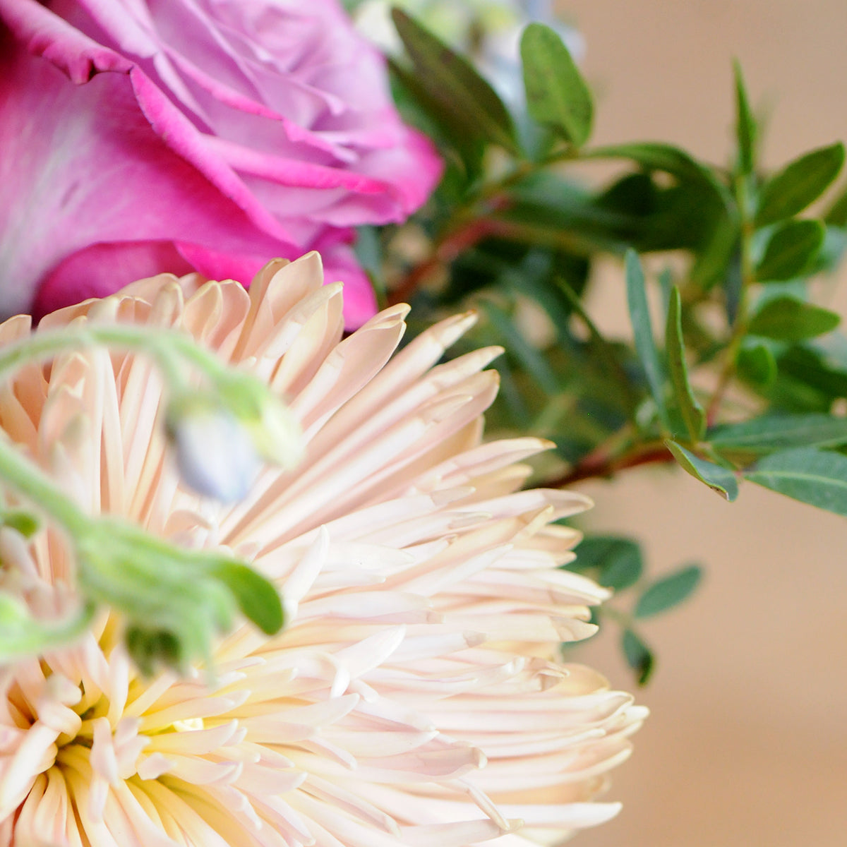 Close up of florals in Emerson arrangement 