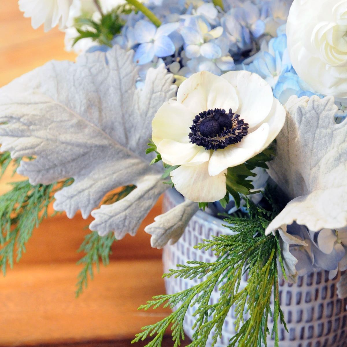 Cl;ose up focusing on the Anemone flower showing its white petals and dark center