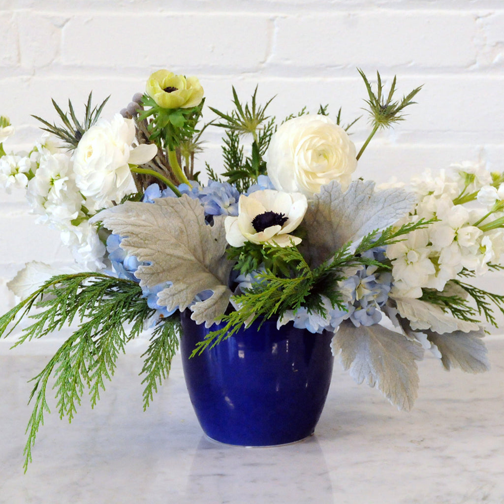 Fremont Arrangement in cobaklt blue ceramic with silver $ foliage white stock and Ranunculus 